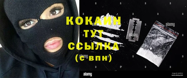 гидра Абаза