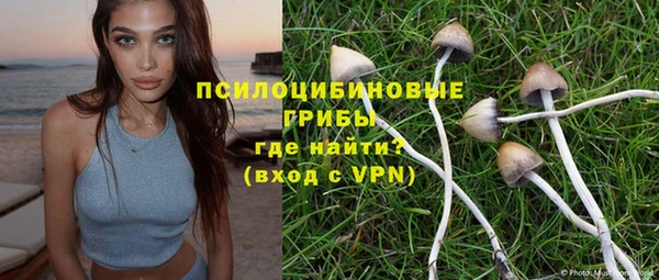 гидра Абаза