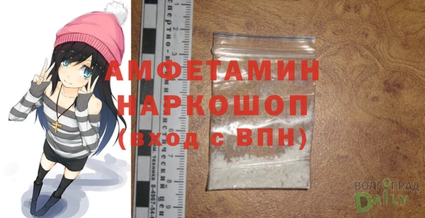 гидра Абаза