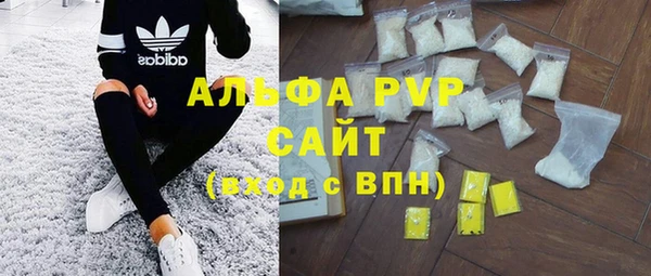 гидра Абаза