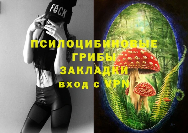 соль ск Абдулино