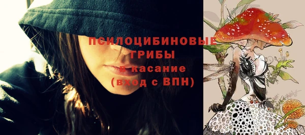 гидра Абаза