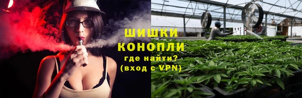 гидра Абаза