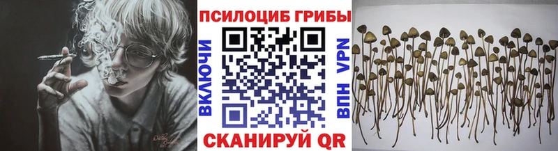 Галлюциногенные грибы мухоморы  Кириллов 