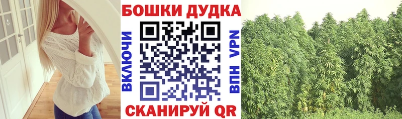 Конопля Ganja  продажа наркотиков  Кириллов 
